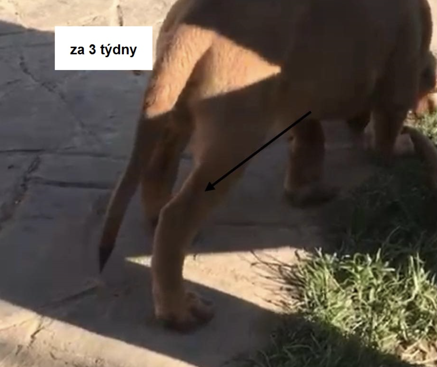Po